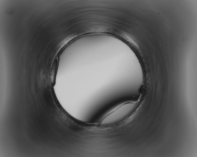 X0000086781081200705041523