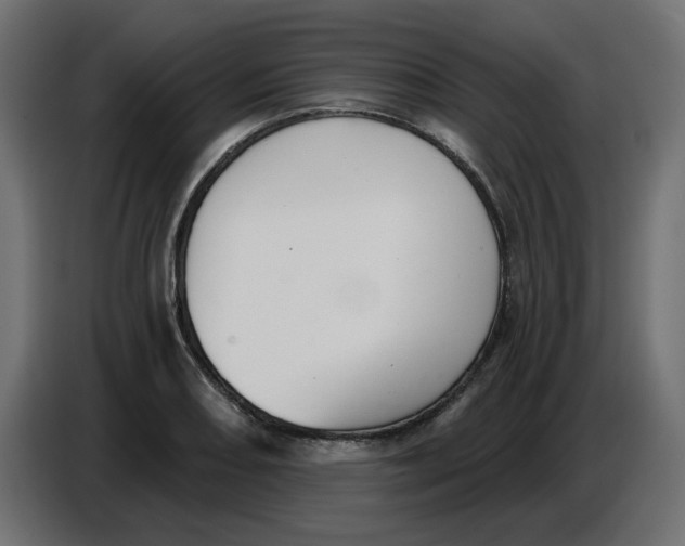 X0000086781082200705041523