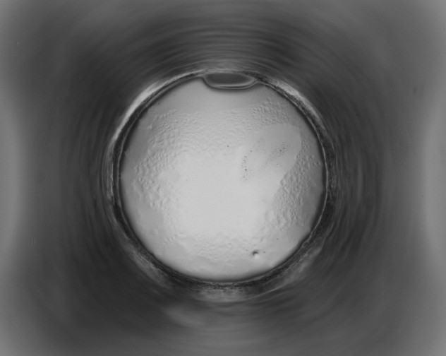 X0000086781083200705041523