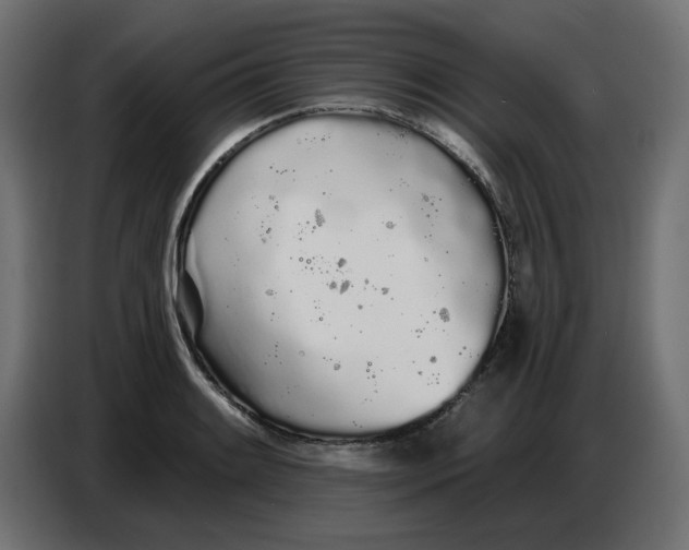 X0000086781084200705041523