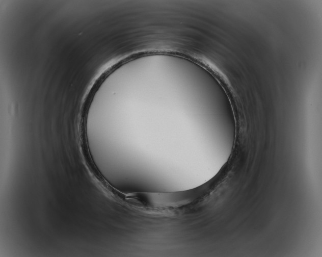 X0000086781085200705041523