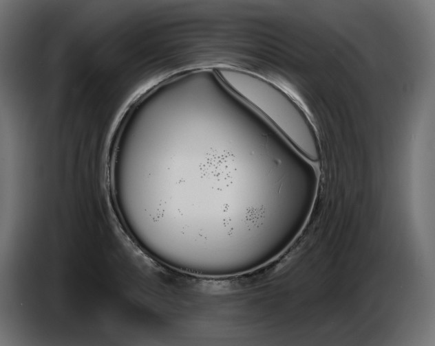 X0000086781088200705041523