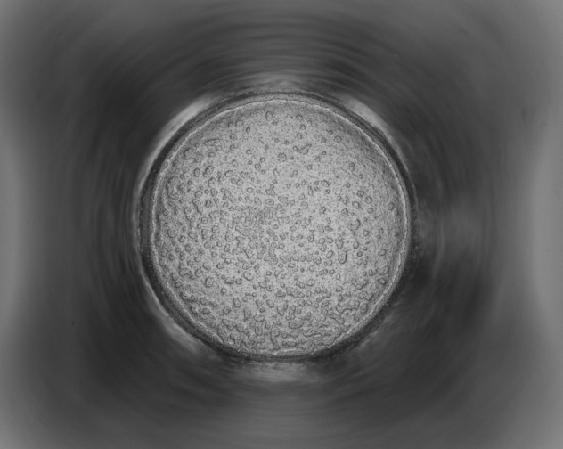 X0000086781090200705041523