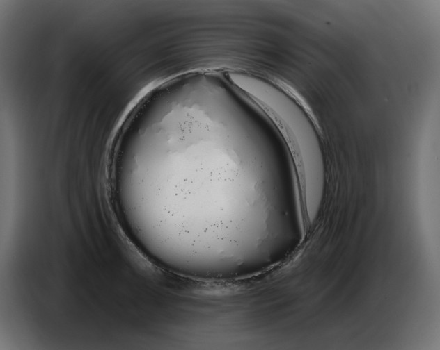 X0000086781091200705041523