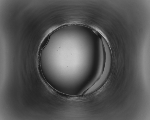 X0000086781093200705041523