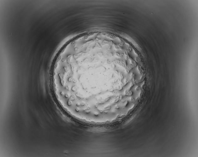 X0000086781094200705041523