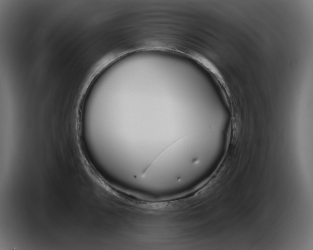 X0000086781096200705041523