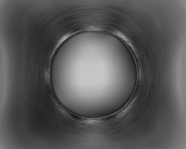 X0000086781097200705041523