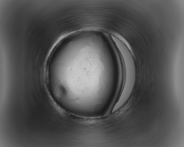 X0000086781099200705041523