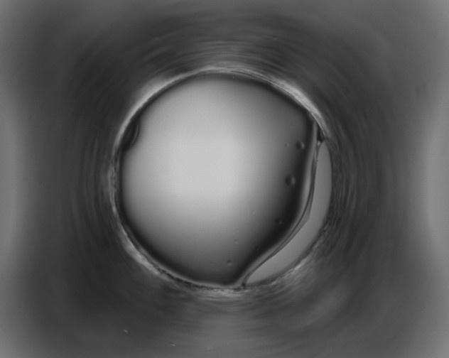 X0000086781100200705041523