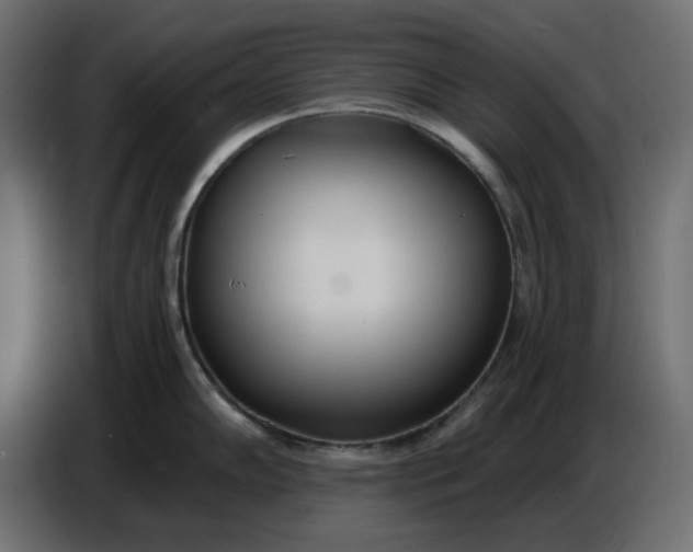 X0000086781102200705041523