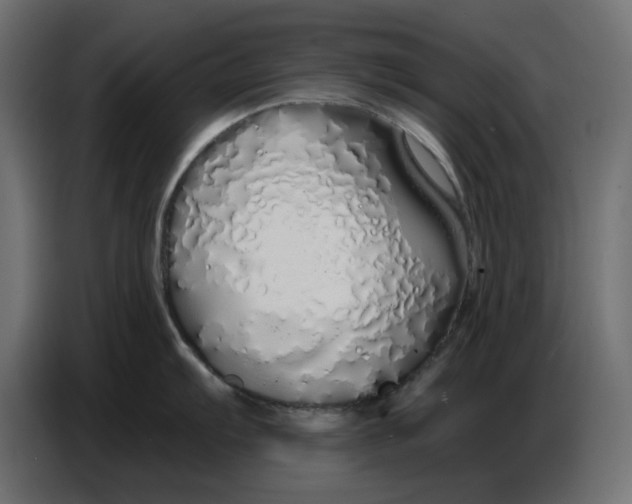 X0000086781103200705041523