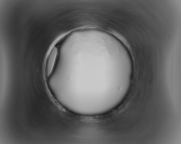 X0000086781104200705041523