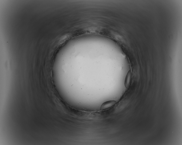 X0000086781105200705041522