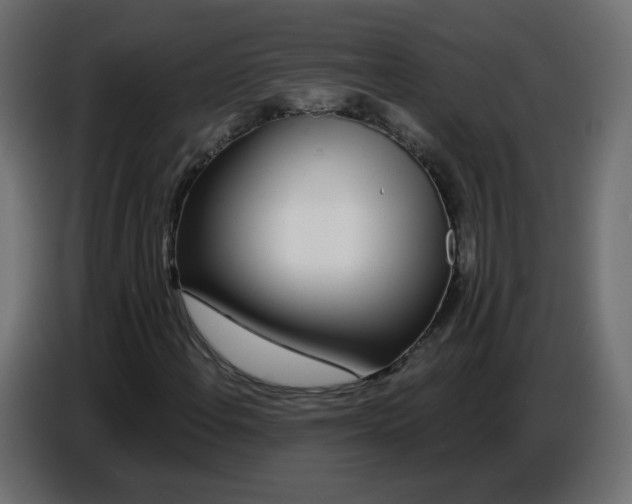 X0000086781108200705041522