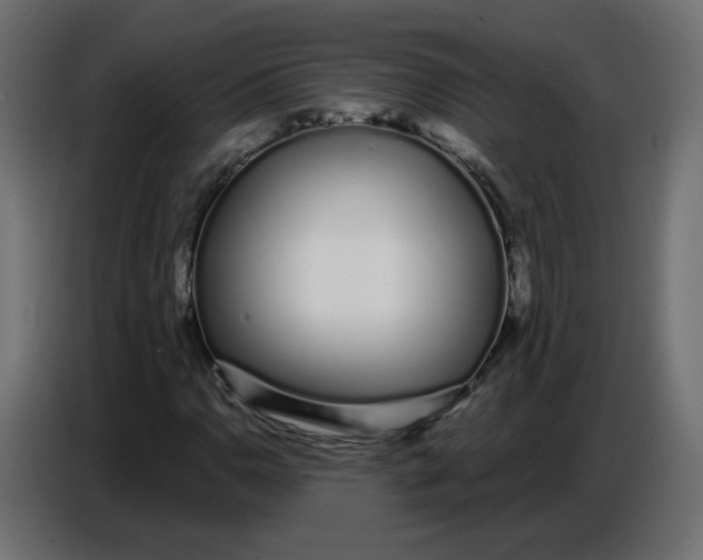 X0000086781110200705041522