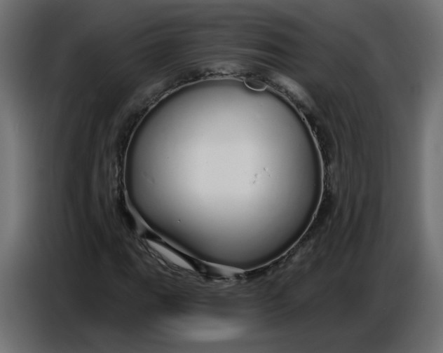 X0000086781111200705041522