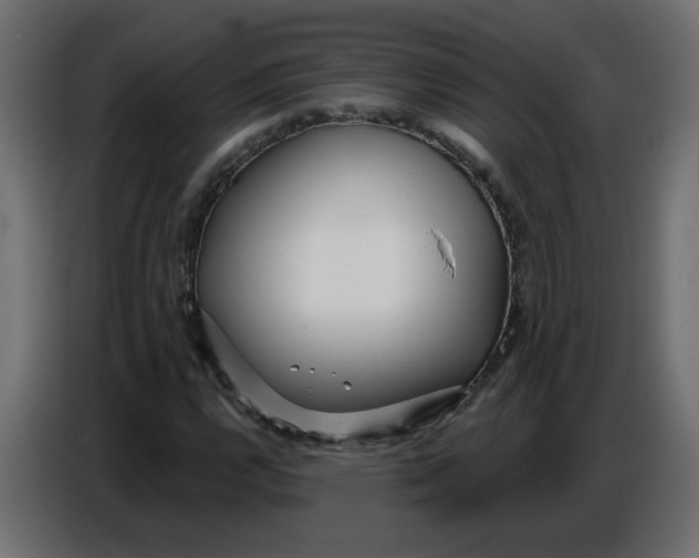 X0000086781112200705041522