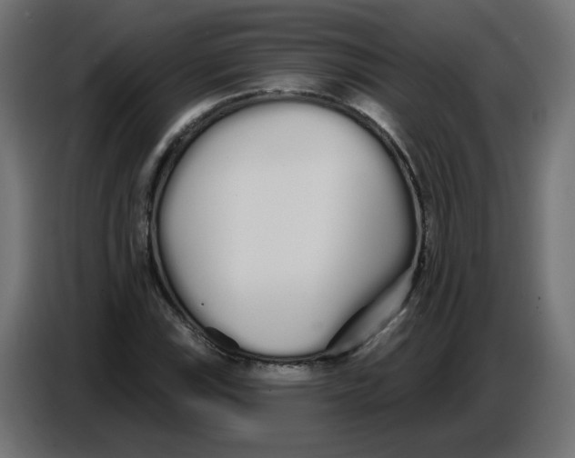 X0000086781115200705041522