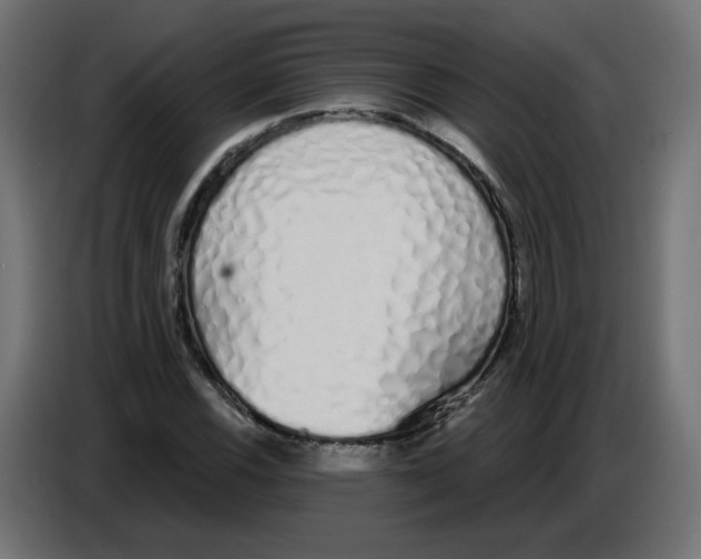 X0000086781116200705041522