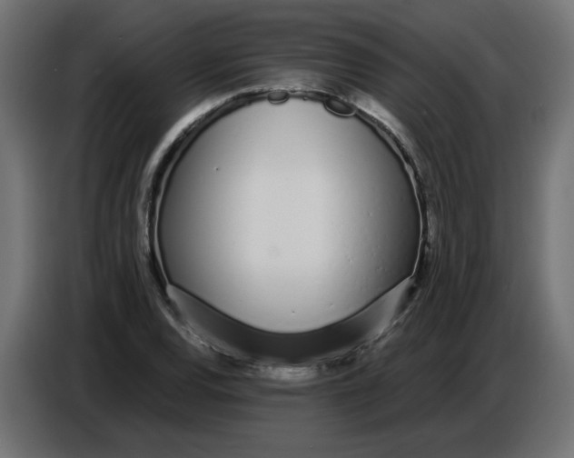 X0000086781120200705041522