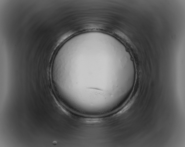 X0000086781121200705041522