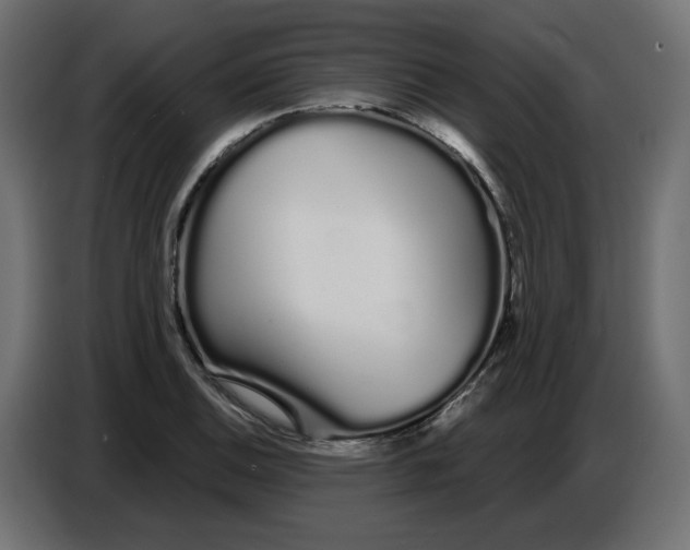 X0000086781124200705041523