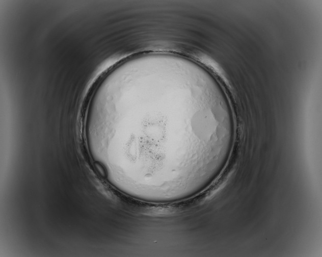 X0000086781125200705041523