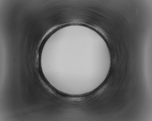 X0000086781126200705041523