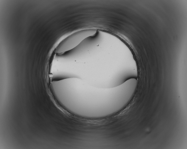 X0000086781128200705041523