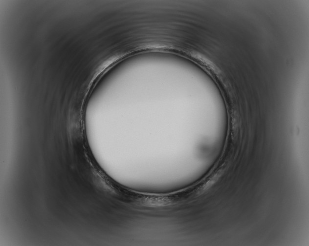 X0000086781129200705041523