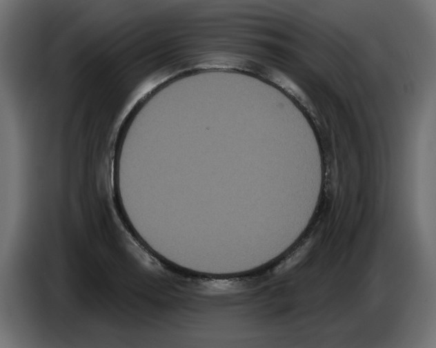 X0000086781130200705041523