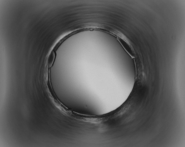 X0000086781132200705041523