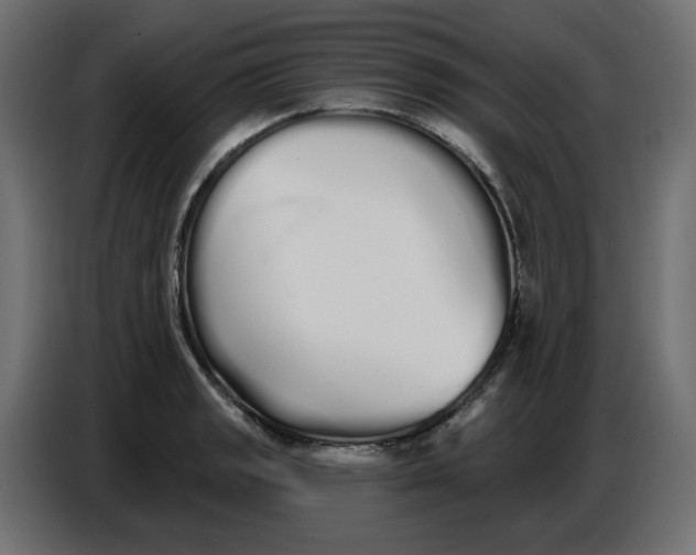 X0000086781133200705041523