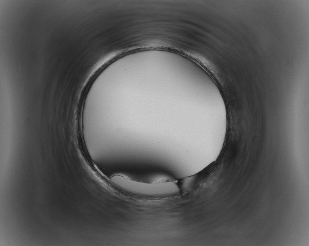 X0000086781134200705041523