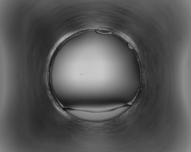 X0000086781136200705041523