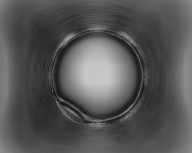 X0000086781137200705041523