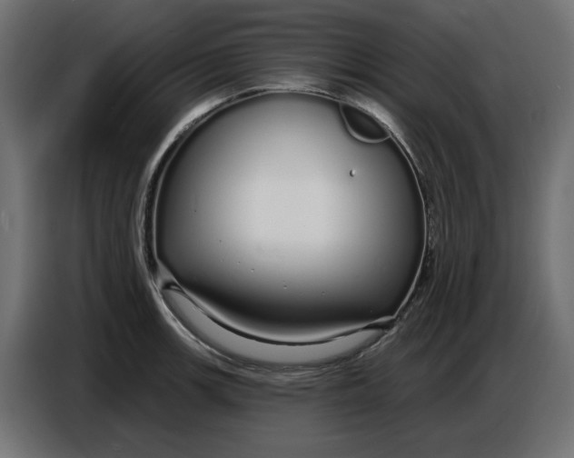 X0000086781139200705041523