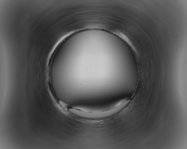 X0000086781140200705041523