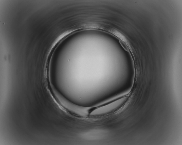 X0000086781141200705041523