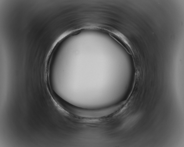 X0000086781143200705041523