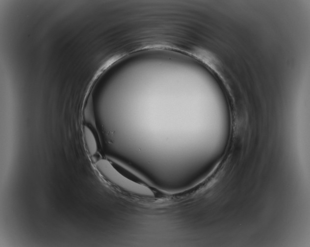 X0000086781145200705041523