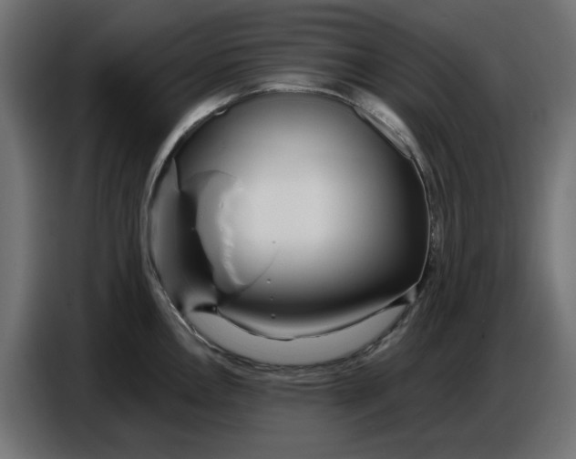 X0000086781146200705041523