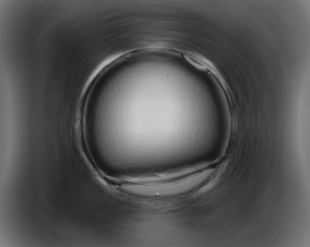 X0000086781149200705041523