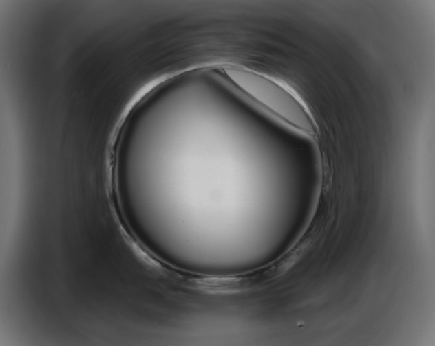 X0000086781151200705041523