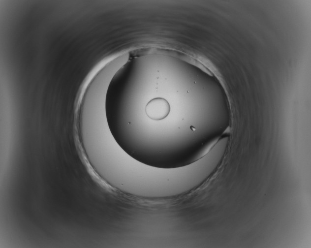 X0000086781152200705041523