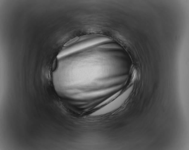 X0000086781155200705041522