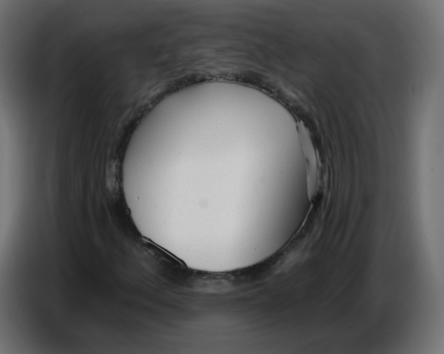 X0000086781156200705041522