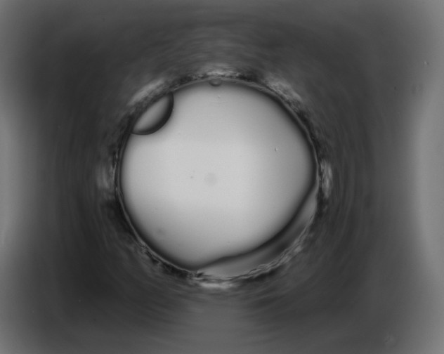 X0000086781158200705041522