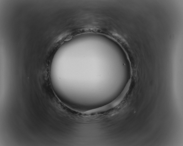 X0000086781159200705041522